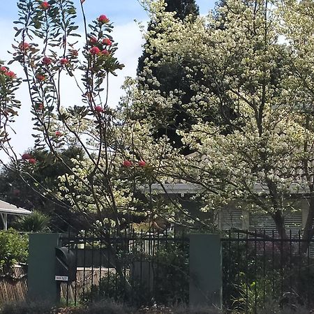 Amberly House Rotorua Bed and Breakfast Esterno foto